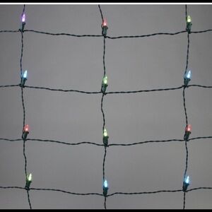 NWT Philips 100ct 4' x 6' LED App-Controlled multiColor Changing Mini Net